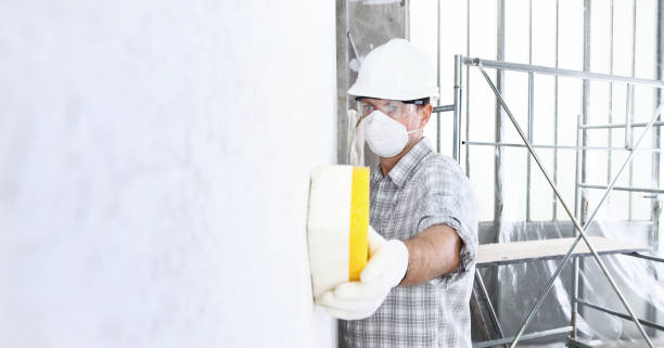 Best Mold Prevention Services  in Whitfield, PA