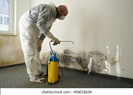 Best Black Mold Removal  in Whitfield, PA